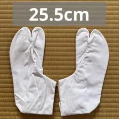 Item thumbnail for item 77bf0e34-8a83-45a7-93ca-3ef182c492dc