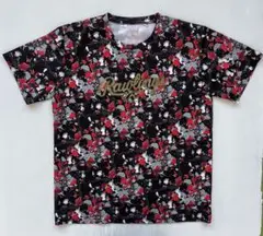 Item thumbnail for item 6842f10d-5e28-4d99-a871-e57e5afe7ee3