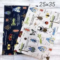 ランチョンマット 25×35 男の子　昆虫　てんとう虫　2枚　ハンドメイド