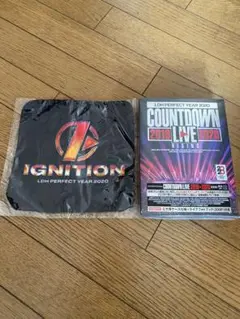LDH PERFECT YEAR 2020 ハンカチ付き
