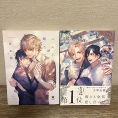 「この手を離さないで」2巻セット