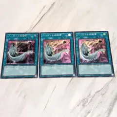ハーピィの羽箒 3枚セット
