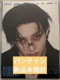 stray kids straykids 新品未開封　バンチャン