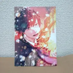♦️黄昏アウトフォーカス・リーフレット♦️商品説明必読♦️