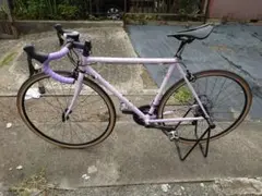 GIOS ジオス フェニーチェ パープル