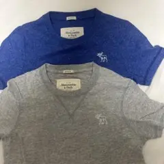 Abercrombie & Fitch Tシャツセット 青 グレー