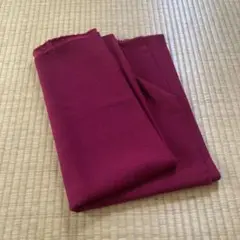 テロンとした赤い生地