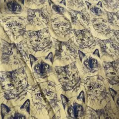 猫顔プリント綿生地 イエロースコティッシュフォールド生地