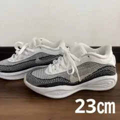 Nike バスケットボールシューズ GTハッスルアカデミーEP 23cm