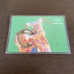 2枚目以降100円引MGA FJORD 019