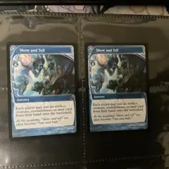 Mystery Booster 実物提示教育/Show and Tell 2枚