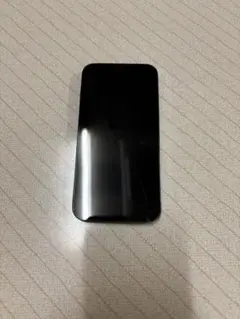 iPhone13Pro 256GB 本体