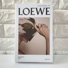 インテリア ダミーブック イミテーション 雑誌 撮影 LOEWE ロエベ
