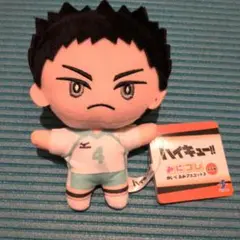 ハイキュー‼︎ みにコレ ぬいぐるみ マスコット3　 岩泉一