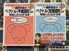 細井真宏のベクトル　2冊セット