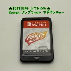 x★動作良好 ソフトのみ★Switch リングフィット アドベンチャー