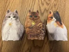 シャトロワ　猫のかたちのギフト　ボックス3個