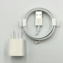 Apple 純正 電源アダプター A1385 ライトニングケーブル セット