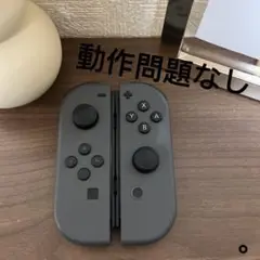NintendoSwitch ジョイコン グレ A91