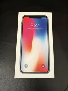 Apple iPhone X 256GB