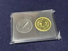 SAOグッズ　カルルコインセット