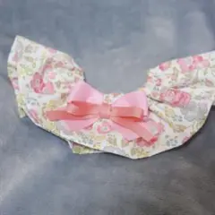 Item thumbnail for item bff11b36-a64a-4914-b202-4cbab680c0e1