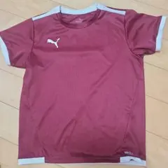 PUMA DRYCELL バーガンディ シャツ ASIA 140cm