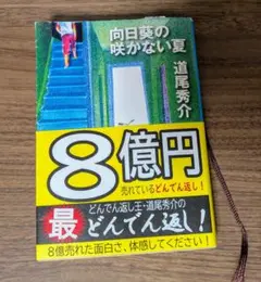 向日葵の咲かない夏