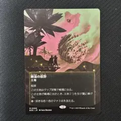 MTG 睡蓮の原野/Lotus Field 星景ポスター