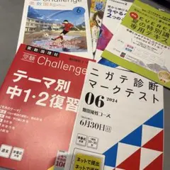 進研ゼミ　中学講座　2024