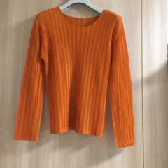 プリーツプリーズ 長袖 美品