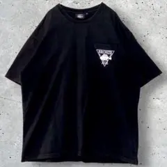 BRONZE AGE 薔薇 半袖 ポケット Tシャツ XLサイズ T156
