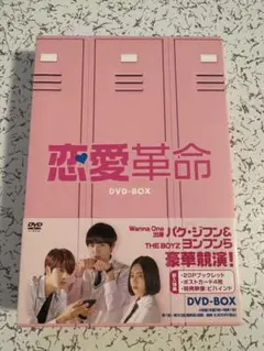 パクジフン 恋愛革命 DVDBOX
