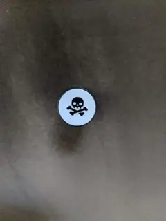 骸骨　ドクロ　ゴルフボールスタンプ ゴルフ ゴルフボール　スタンプ