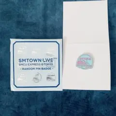 aespa エスパ SMTOWN LIVE 2022 ランダムピンバッジ