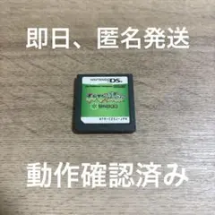 ★ ポケモン不思議のダンジョン 空の探検隊