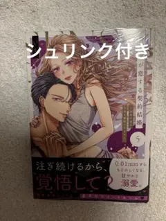 カラダが恋する契約結婚～冨永夫妻は今夜も離婚できません。5