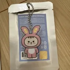 miniteen acrylic keyring ジョンハン トラム