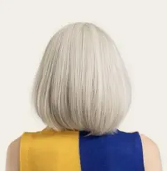 Item thumbnail for item d93691bc-e126-47ae-9319-58df9e2b07ec