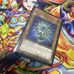 2025年最新】グローアップバルブ 英語の人気アイテム - メルカリ
