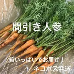 Item thumbnail for item 6624de03-2e50-4c3f-a25e-965fe237f20e