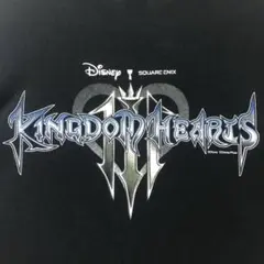 レア　海外限定　KINGDOM HEARTS キングダムハーツ　ポロシャツ