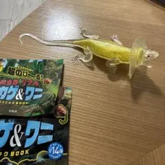 フリルド・ドラゴン フィギュア