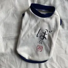 Item thumbnail for item f48f8650-67be-4902-9c82-f6979648ba3d