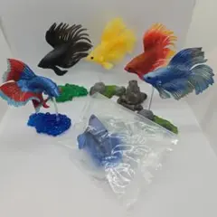 闘魚 〜ベタ〜 ガチャガチャ　６点セット