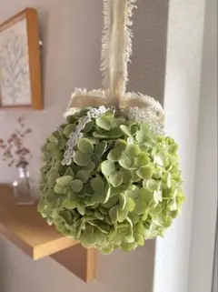 ꕤ︎︎ アナベルのフライングボール ꕤ︎︎