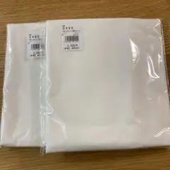 Item thumbnail for item eb8d6822-d8bd-4a60-8b96-2eb7ae0a6848