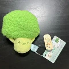 すみっコぐらし　すみっコマーケット ブロッコリー てのりぬいぐるみ