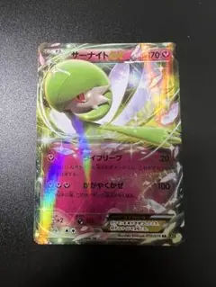 サーナイトEX RR XY5 050/070