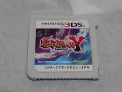 ポケットモンスターY ポケモン